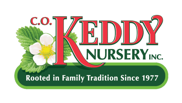 Keddy Nursery